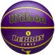 Wilson NBA Player Icon LeBron James Outdoor-Ball WZ4027601XB