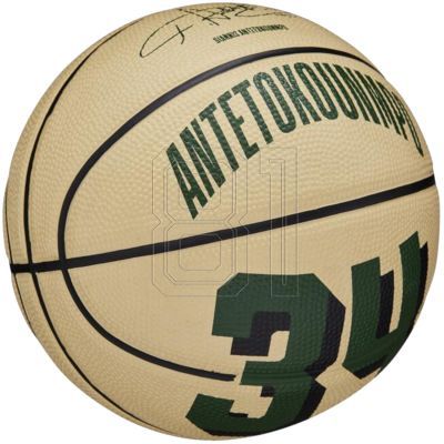2. Wilson NBA Player Icon Giannis Antetokounmpo Miniball WZ4007501XB Basketball