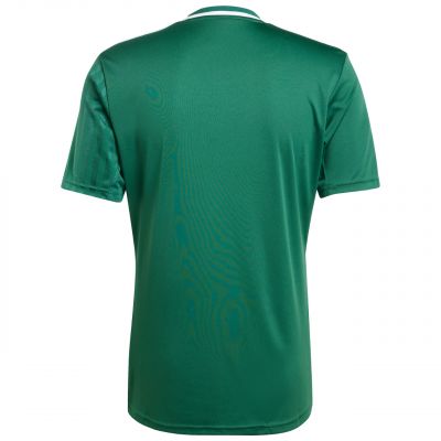 3. Herren adidas Campeon 25 Trikot grün JF6063