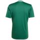 3. Herren adidas Campeon 25 Trikot grün JF6063