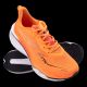 4. Carrera Laufschuhe für Herren