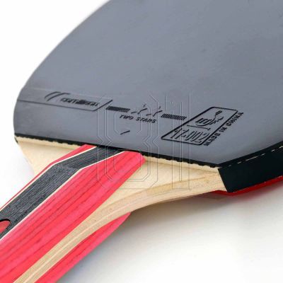 3. Cornilleau Sport 433000 Tischtennisschläger