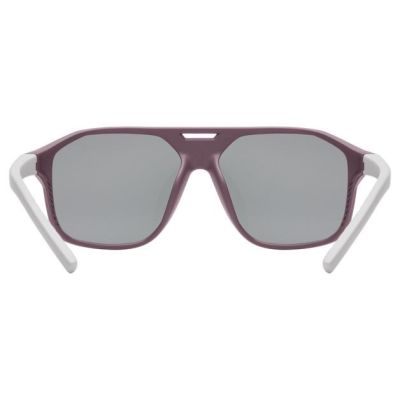 4. Uvex Cosmic Unisex Vollformat Silber