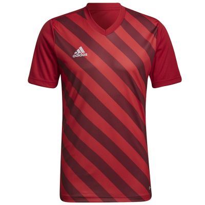 8. adidas Entrada 22 Graphic Jersey M HB0572