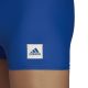 3. adidas Solid Boxer M HF5962 Badehose
