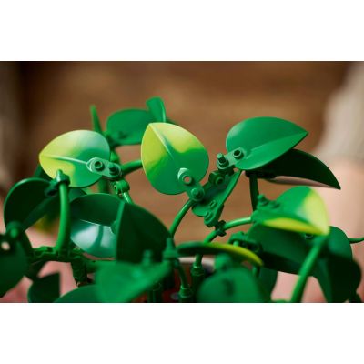 15. LEGO Botanische Kollektion 11512 – Hängendes Gold-Epipremnum