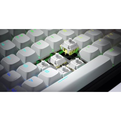 11. HATOR Skyfall Wireless 100 Gaming-Tastatur USB + RF Wireless + Bluetooth QWERTZ US Englisch Schwarz, Weiß