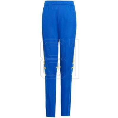 adidas Squadra 25 Training Jr Pants JP3154