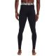 2. Under Armour ColdGear Leggings M 1366075-001