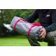 6. Coleman Bedrock 2 2-Personen-Zelt – grau