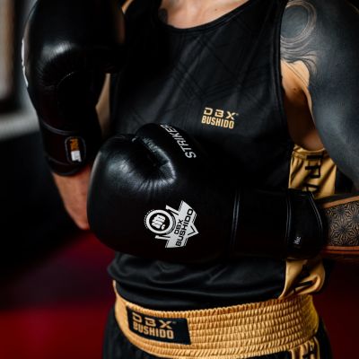 3. 10oz Boxhandschuhe - Striker - Legacy Series