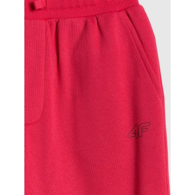 8. Jogginghose für Jungen 4F 4FJRSS26TTROM1824-62S