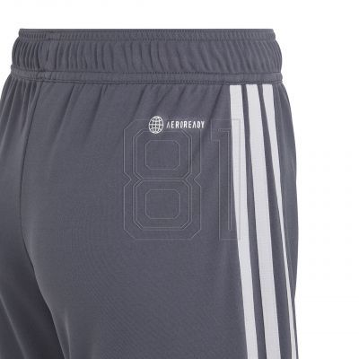 3. Adidas Tiro 23 League Jr IB8102 Shorts