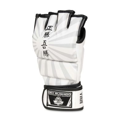 3. MMAM-Handschuhe – Japan – Valor-Serie