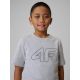 3. Normales bedrucktes Jungen-T-Shirt 4F 4FJRSS26TTSHM3599-10S