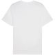 10. Puma ESS Small Logo Tee M 682538 02