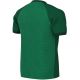 2. Nike Dri-FIT Trophy VI Kinder-T-Shirt Grün HV8158 302