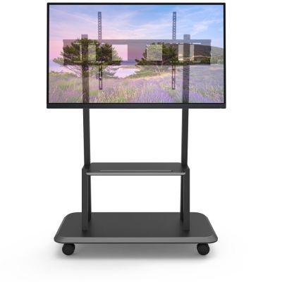 4. TECHLY MOBILER TV-STÄNDER LED/LCD/PDP 55-120 ZOLL 1