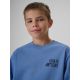 Locker geschnittenes Jungen-T-Shirt mit Aufdruck 4F 4FJRSS26TTSHM4277-32S