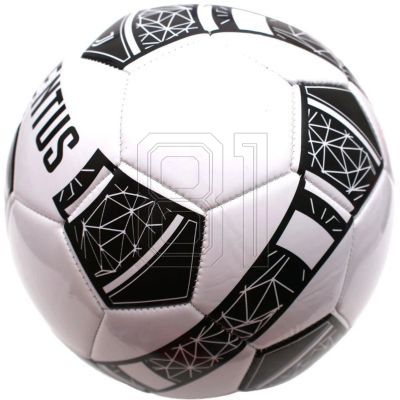 3. Offiziell lizenzierter Fußball von Juventus Turin, 134007