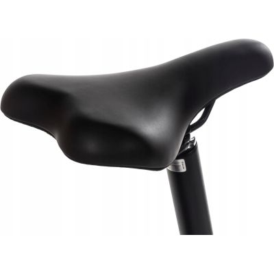 Snapp City-E Graphite Faltbares Elektrofahrrad