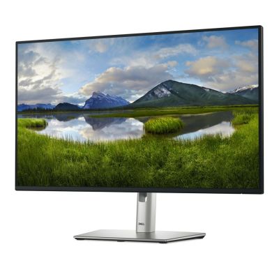 10. DELL LED-Monitor 27" P2725H