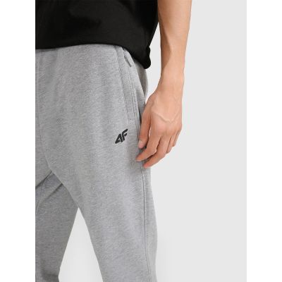 5. Herren-Jogginghose 4F 4FRMM00TTROM1624-27M
