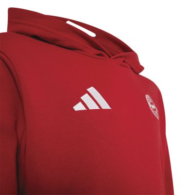 3. adidas FC Bayern Hoodie für Kinder KG2566