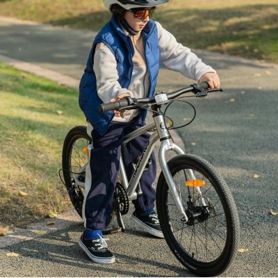 3. ROCKBROS Fahrradstoßdämpfer Modell DARWIN 20 Zoll