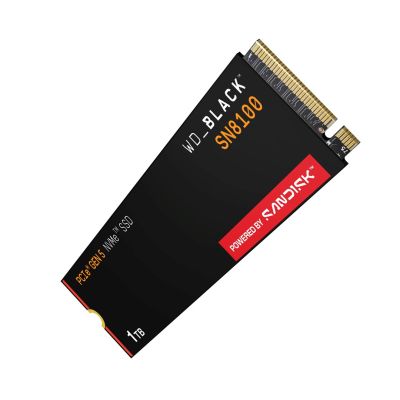 5. SSD WD Black SN8100 ohne HS 1 TB WDS100T1X0M