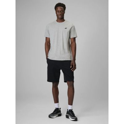4. Herren-Jogginghose 4F 4FRSS26TSHOM0970-20S