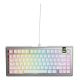9. Glorious Gaming GMMK 3 PRO 75% vorgefertigte USB-Tastatur QWERTY US-Englisch Silber