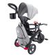 9. EXPLORER DREIRAD 4in1 DELUXE PLAY (636-120)