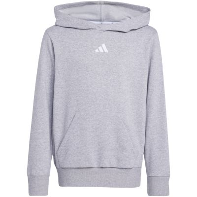 2. adidas Essentials Hoodie für Kinder, grau, JV9995