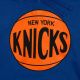 4. Mitchell & Ness NBA New York Knicks Team Logo Kapuzenpullover HDSSINTL1267-NYKROYA