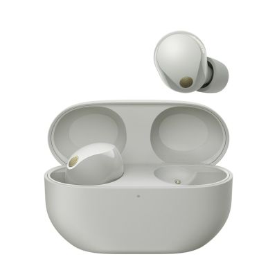 2. Sony WF1000XM5S.CE7 In-Ear-Kopfhörer Silber