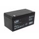AGM-Gelbatterie für Fahrzeuge 24V10AH