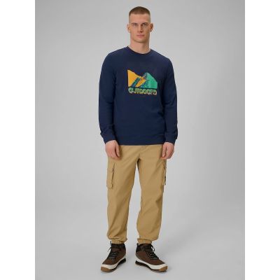 6. Langarmshirt mit Aufdruck für Herren 4F 4FRAW25TLONM618-31S