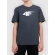 Bedrucktes Jungen-T-Shirt 4F 4FJWAW26TTSHM3515-23S