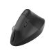 10. Logitech Lift Vertikale Business Schwarze Maus