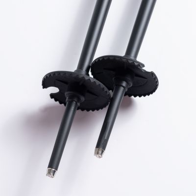 7. ALPINE SKI II Stöcke