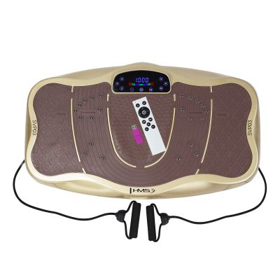 3. SVP03 GOLD Vibrationsplatte HMS