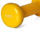 29. Vinyl dumbbell PROfit 0.5kg DK 4102