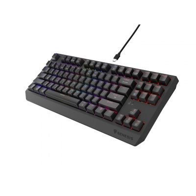 6. GENESIS Thor 230 TKL Gaming-Tastatur USB + RF Wireless + Bluetooth QWERTY Grau