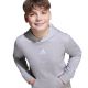 6. adidas Essentials Hoodie für Kinder, grau, JV9995