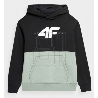 Sweatshirt 4F Jr 4FJAW23TSWSM628-47S