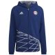 2. Adidas FC Bayern GR WB M Jacke HT8828