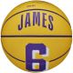 Wilson NBA Player Icon Stephen Curry Miniball WZ4007401XB
