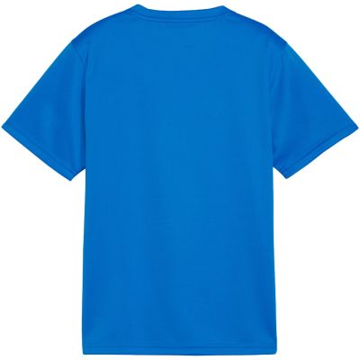 2. Puma TeamGoal Trikot für Kinder blau 658637 02