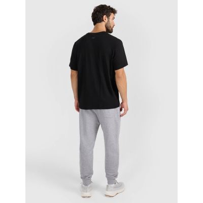 3. Herren-Jogginghose 4F 4FRAW25TTROM1671-27M